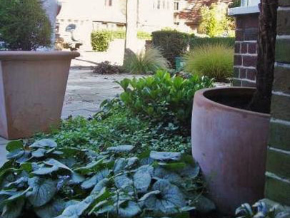 Landscape Design